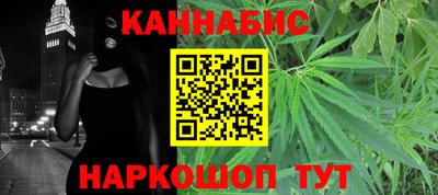 СК Гатчина