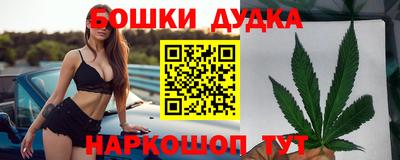 СК Гатчина