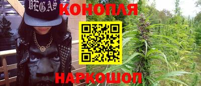 прущие крисы Гай