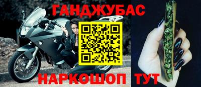 прущие крисы Гай