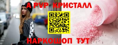 СК Гатчина