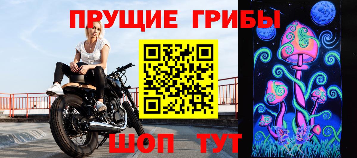 Ртищево  Галлюциногенные грибы MAGIC MUSHROOMS  Вход с VPN 